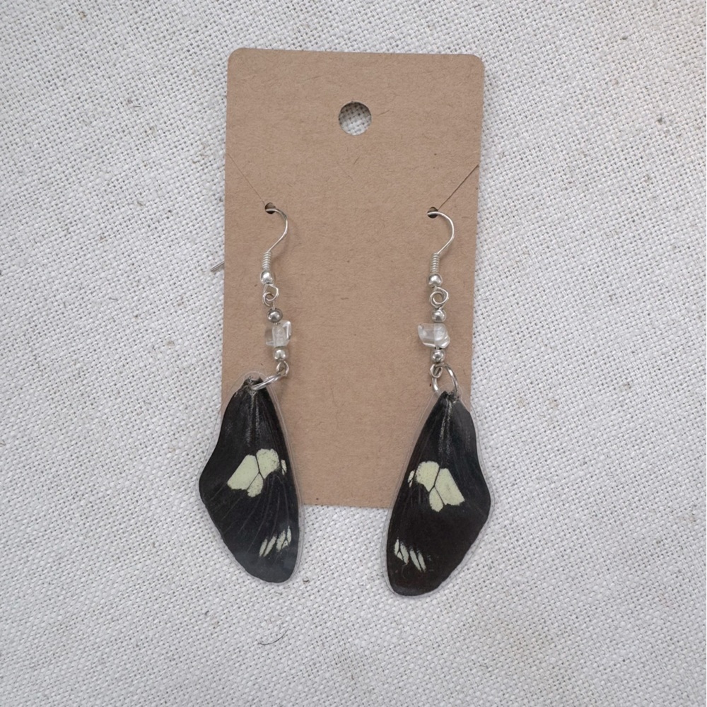 Real Butterfly Earrings